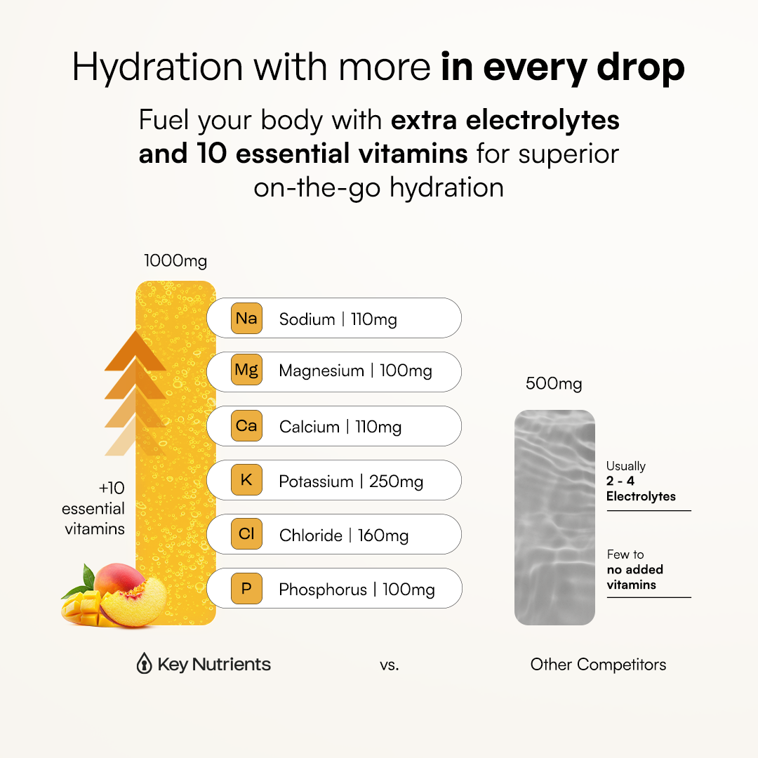 Electrolyte Recovery Plus Powder (Sugar-Free) - PW PitStop