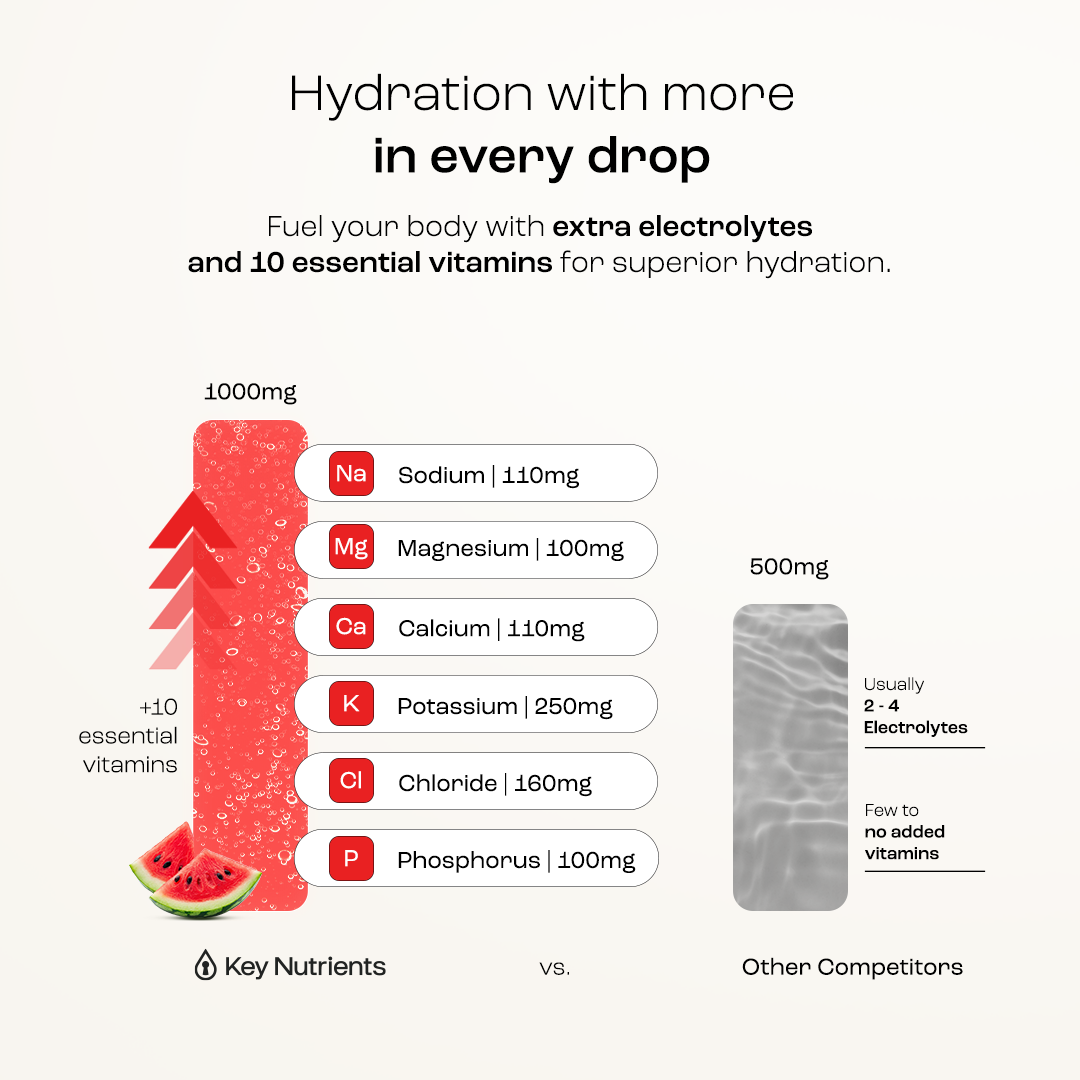 Electrolyte Recovery Plus Powder (Sugar-Free) - PW PitStop