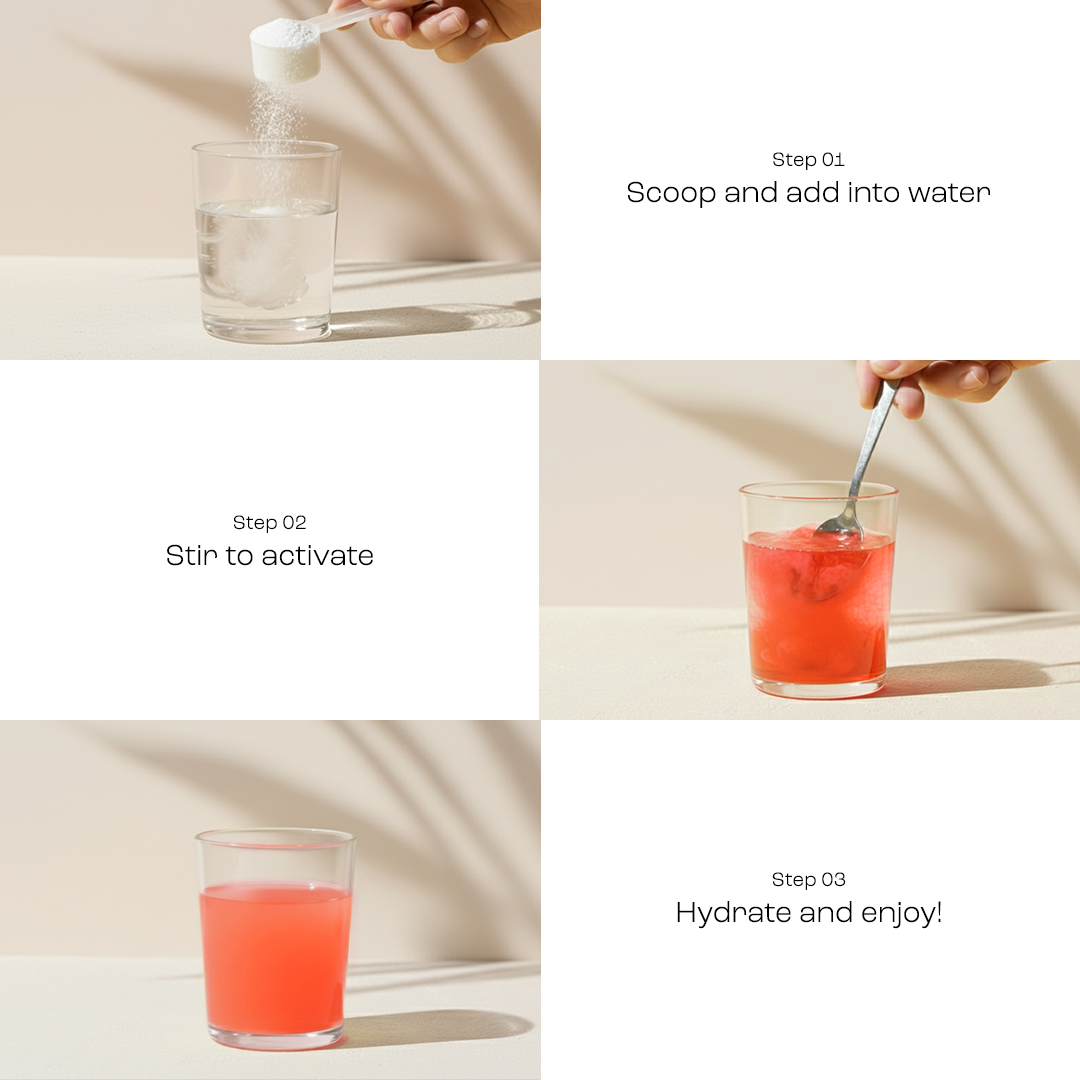 Electrolyte Recovery Plus Powder (Sugar-Free) - PW PitStop