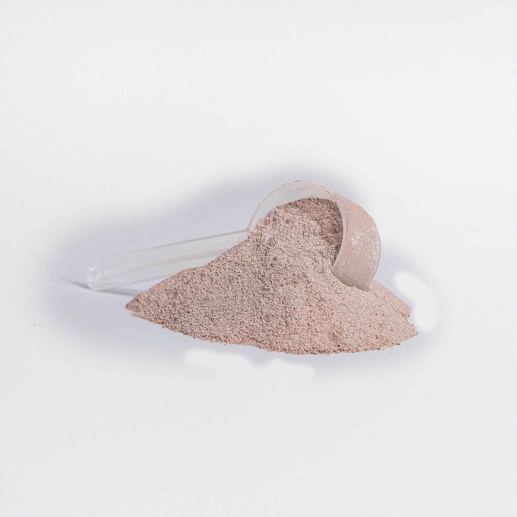 Plant Protein (Vanilla)