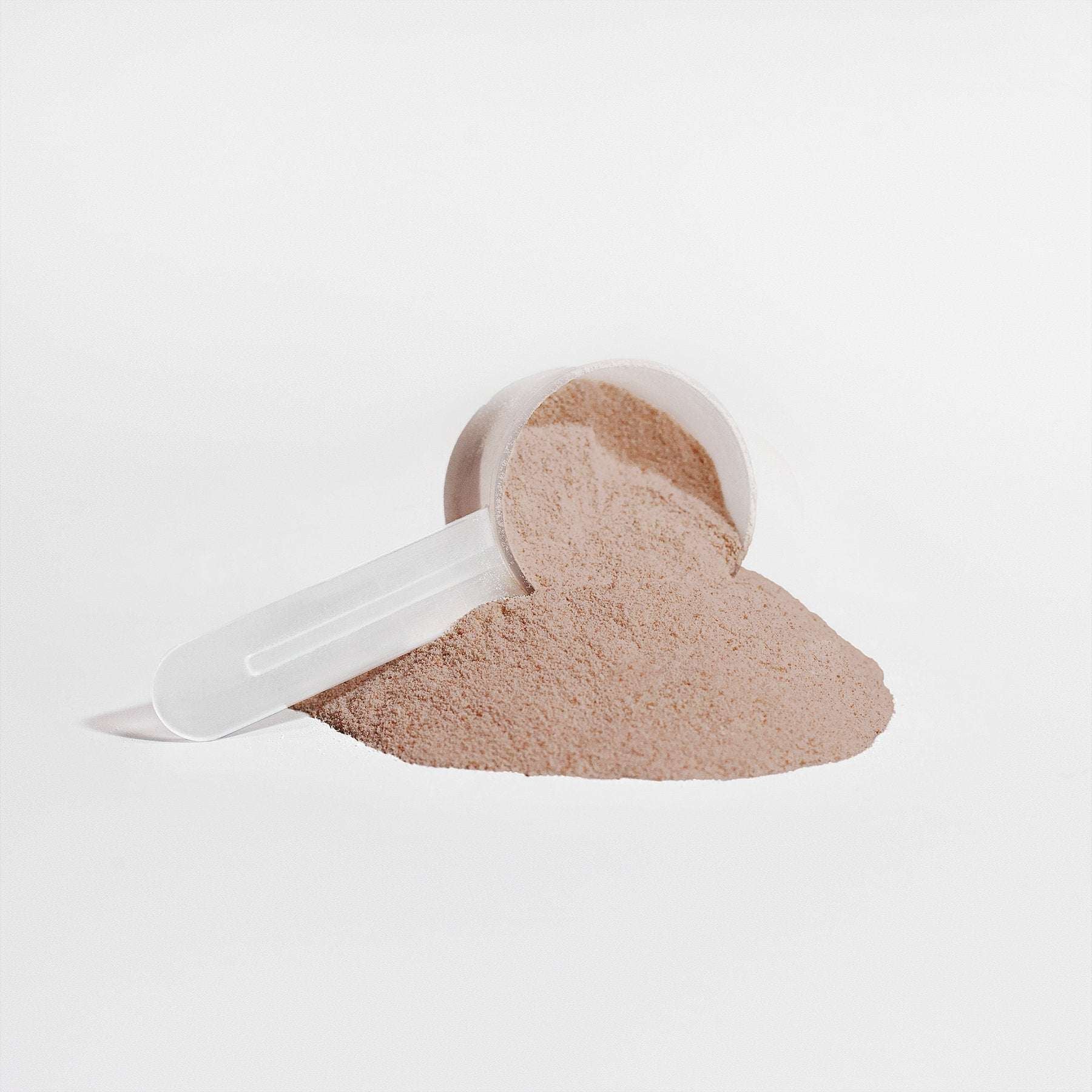 Plant Protein (Chocolate) - PW PitStop