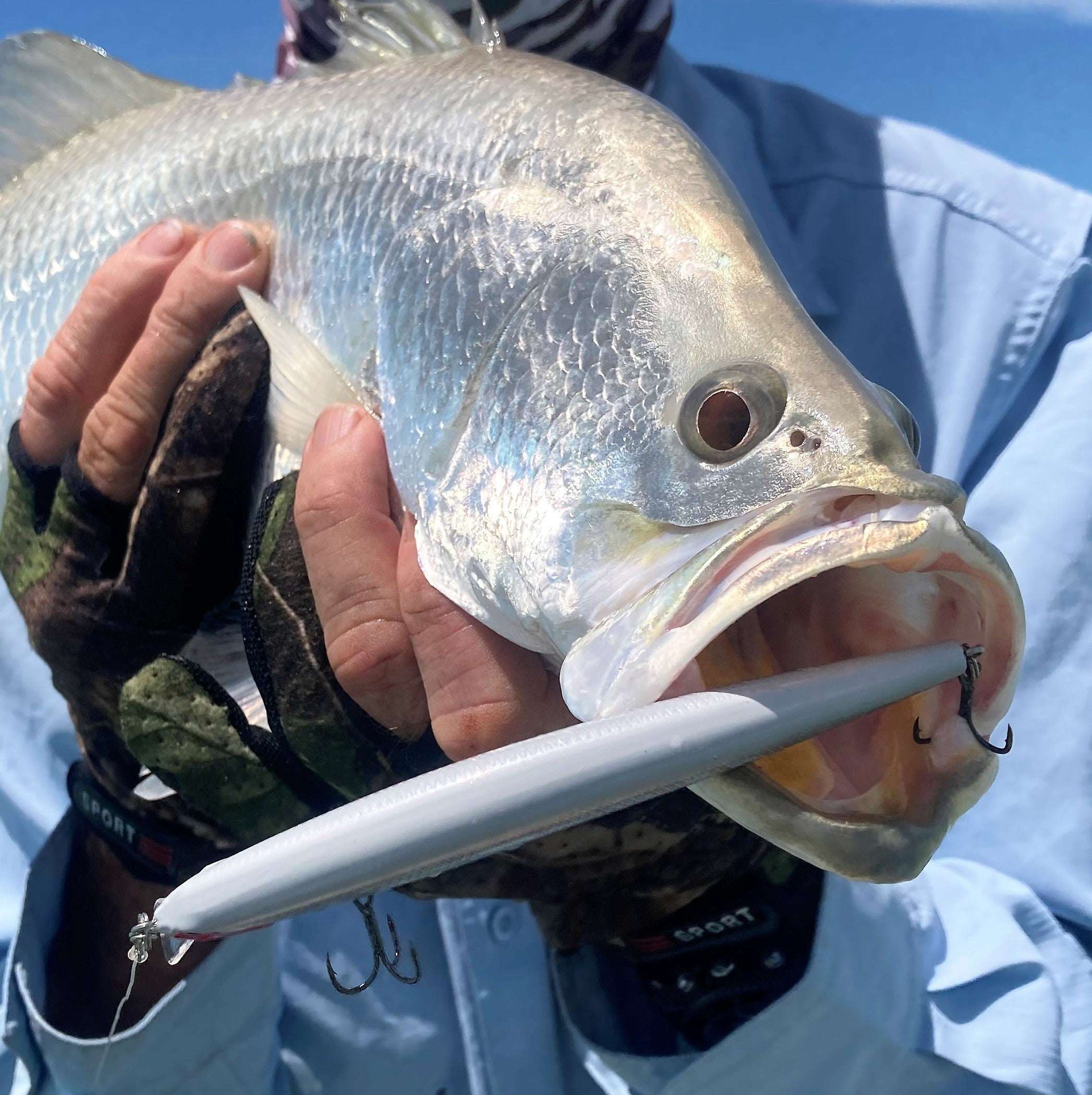Travellers Lure Fishing Gift Pack - PW PitStop