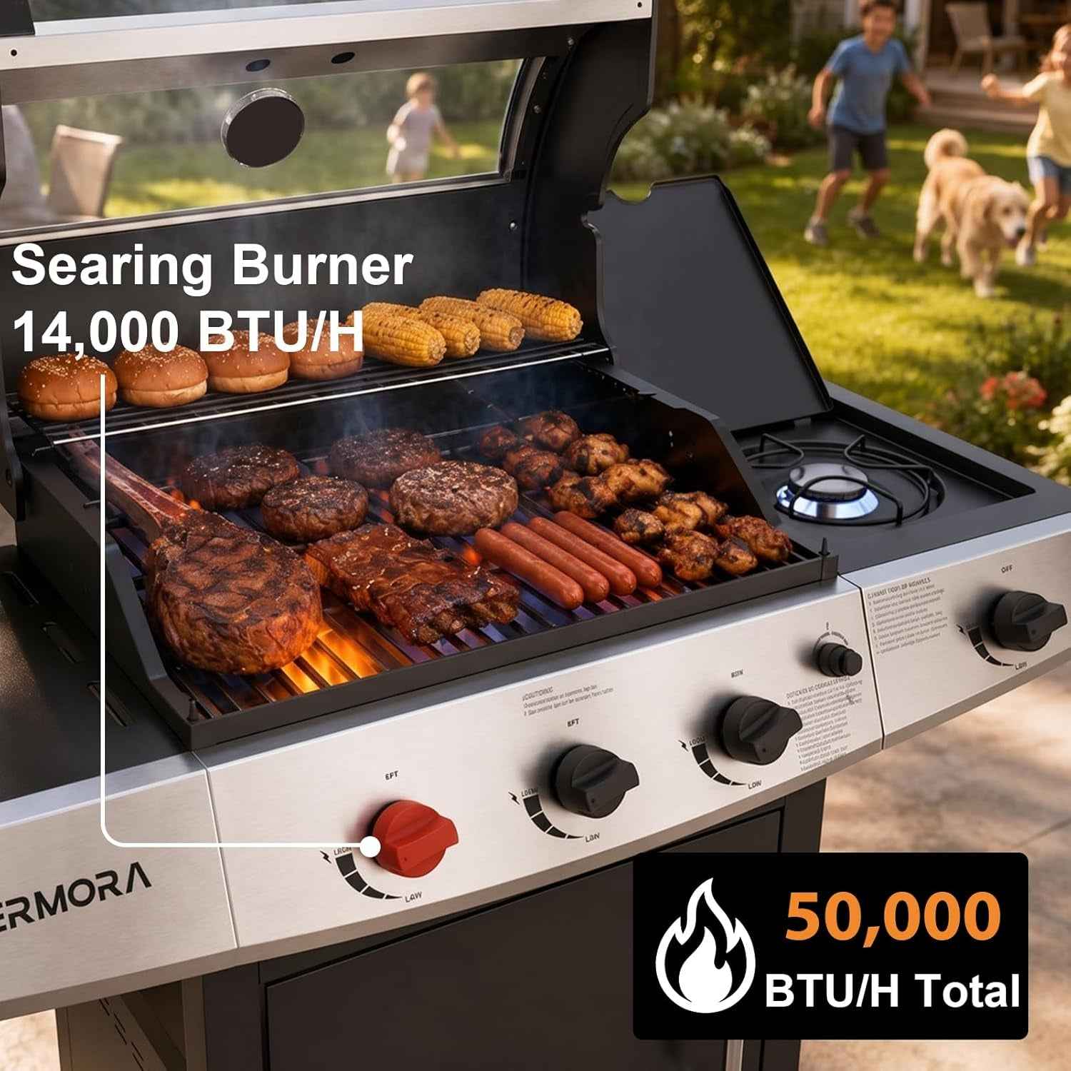 Stainless Steel Propane Outdoor Grill FiftyThousand BTU