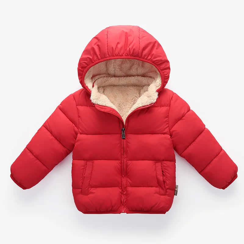 Padded Jacket with Hood and Zip