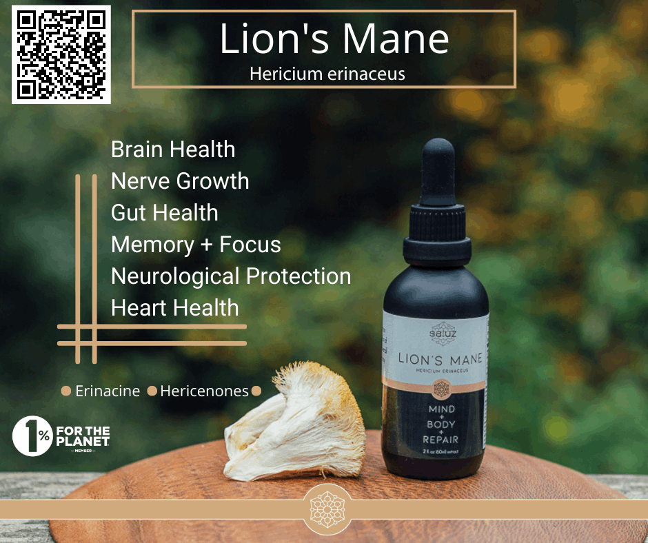Brain Health Function + Protection + Memory +  Focus Pairing - PW PitStop