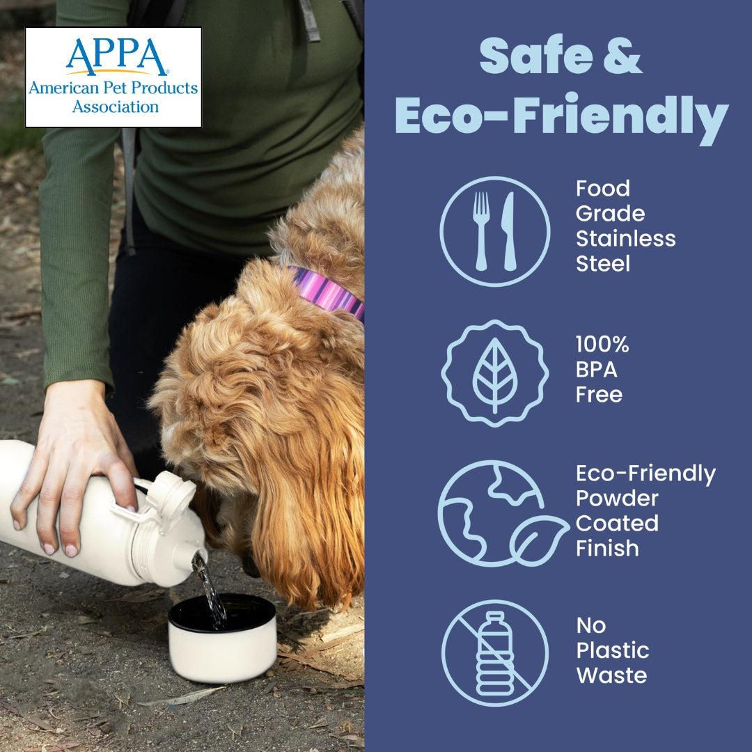 Dog + Human Water Bottle with Detachable Dog Bowl - PW PitStop