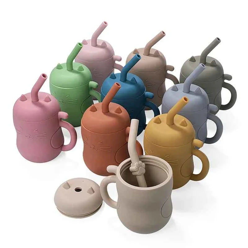 Silicone Straw Water Bottle