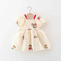 Baby Floral Embroidered Princess Dress