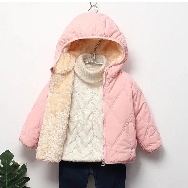 Padded Jacket with Hood and Zip