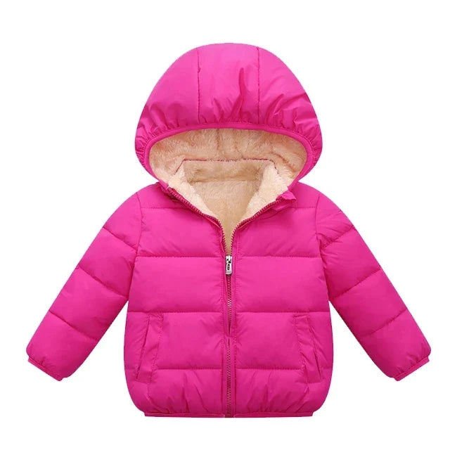 Padded Jacket with Hood and Zip