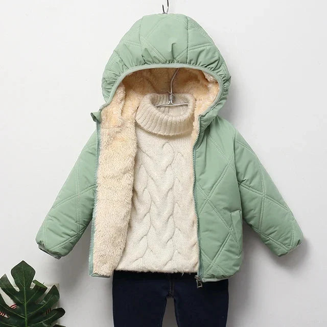 Padded Jacket with Hood and Zip