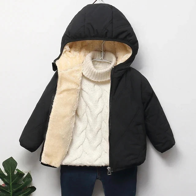 Padded Jacket with Hood and Zip