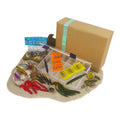 Travellers Lure Fishing Gift Pack - PW PitStop
