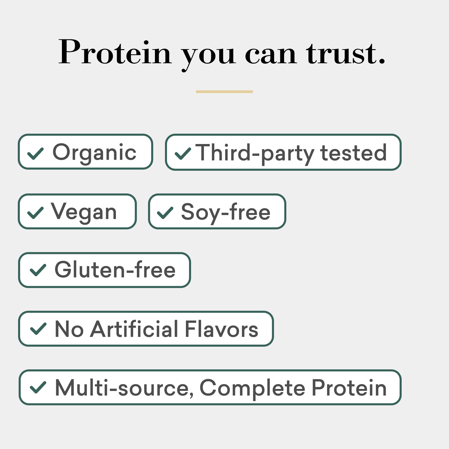 Vanilla Bean Protein Blend - PW PitStop