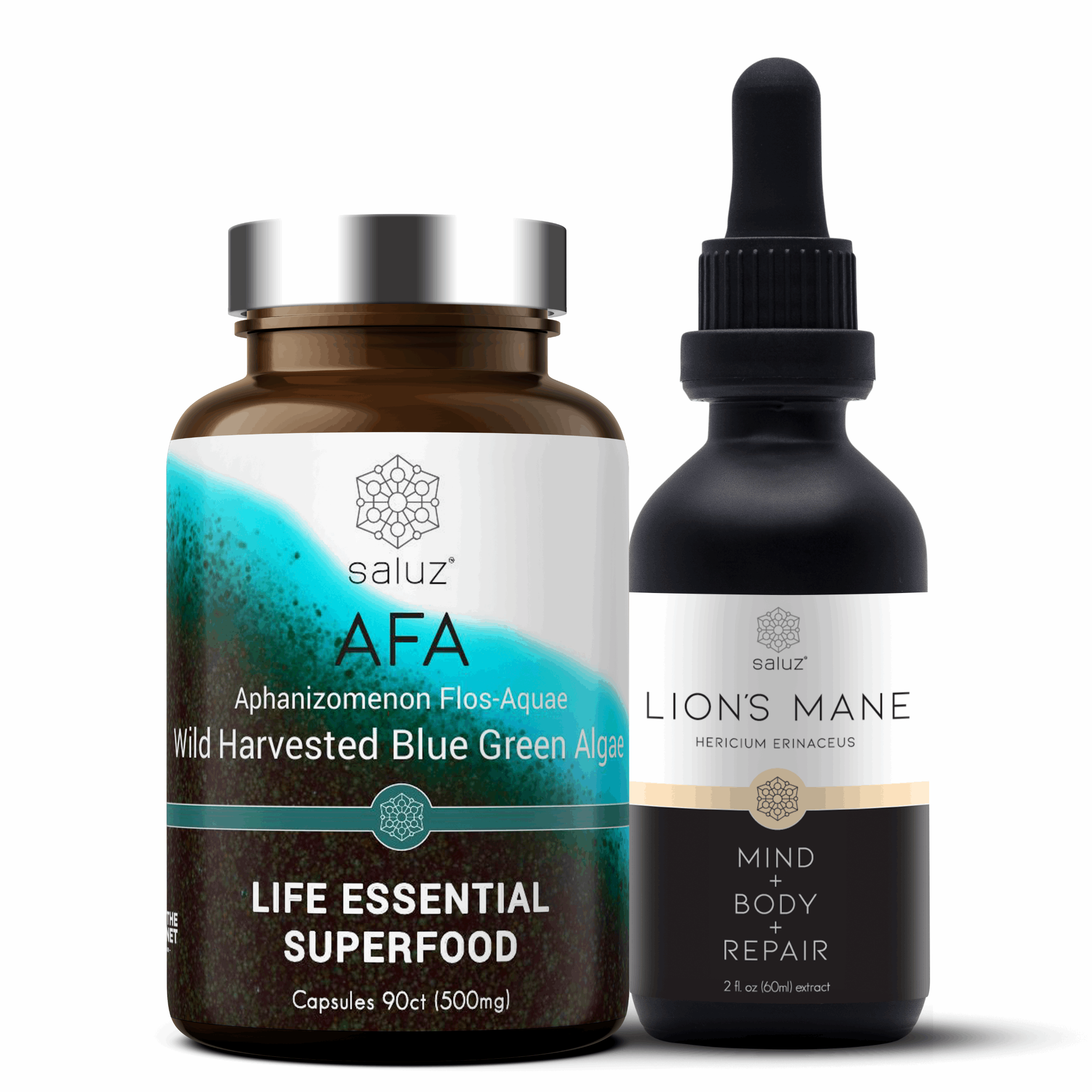 Brain Health Function + Protection + Memory +  Focus Pairing - PW PitStop