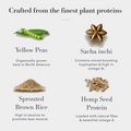 Vanilla Bean Protein Blend