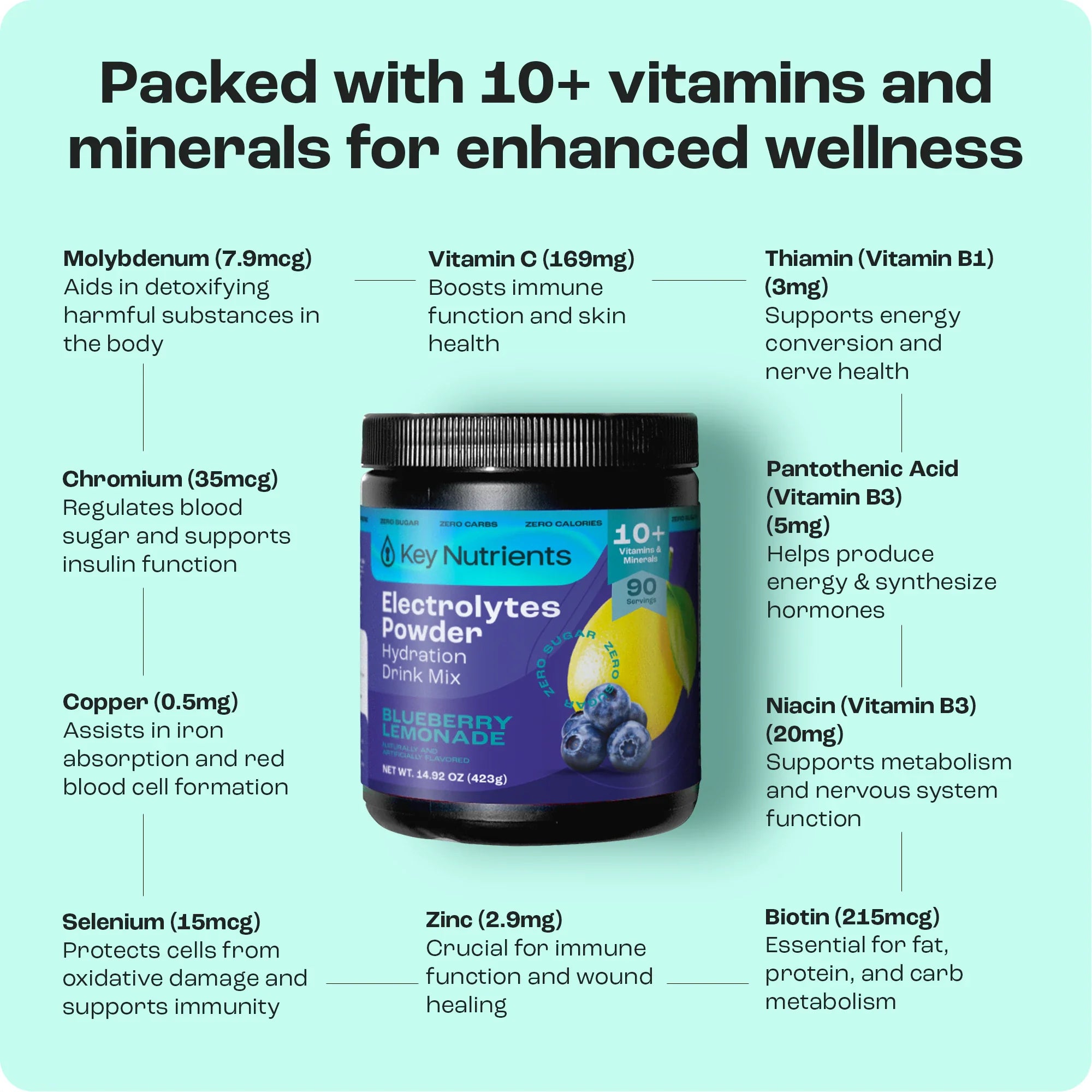 Electrolyte Recovery Plus Powder (Sugar-Free) - PW PitStop