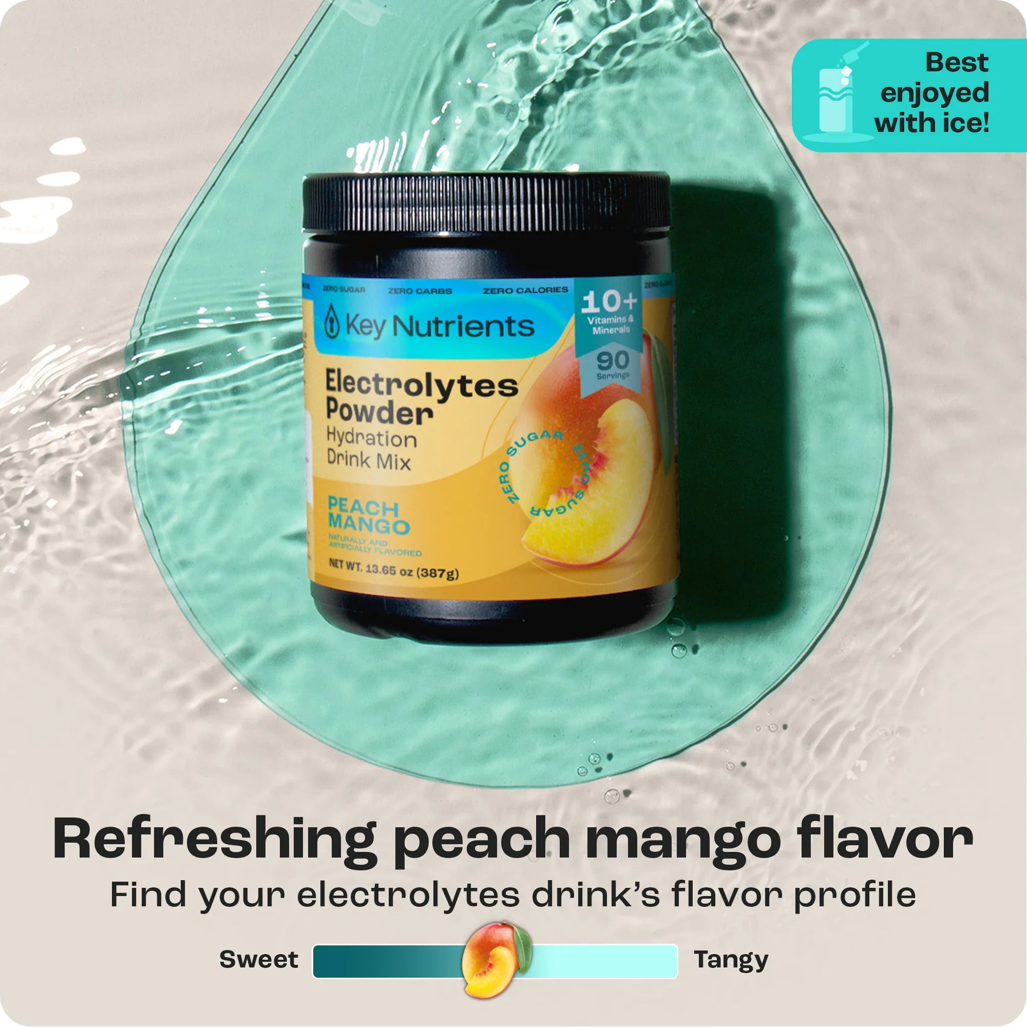 Electrolyte Recovery Plus Powder (Sugar-Free) - PW PitStop