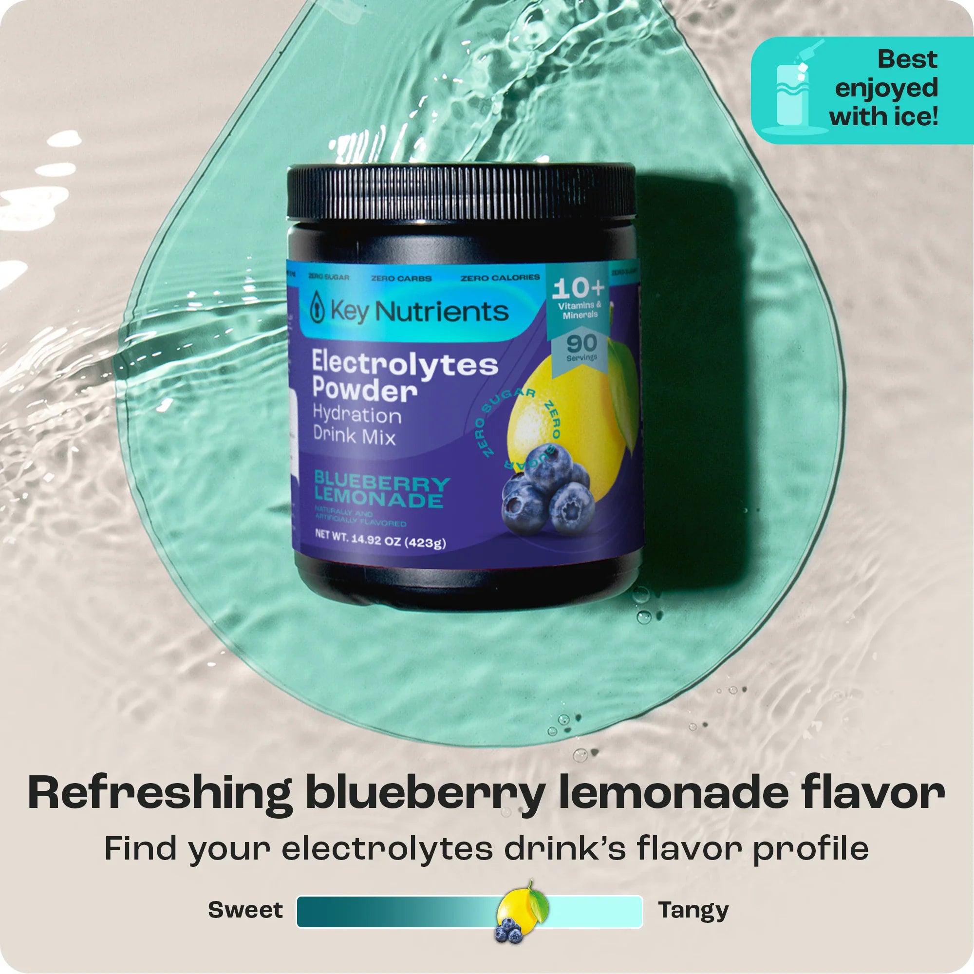 Electrolyte Recovery Plus Powder (Sugar-Free) - PW PitStop